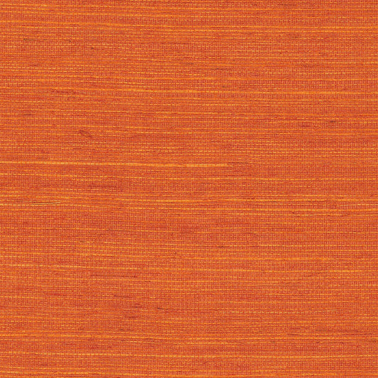 GV0140NW - Grasscloth And Natural Resource Maguey Sisal