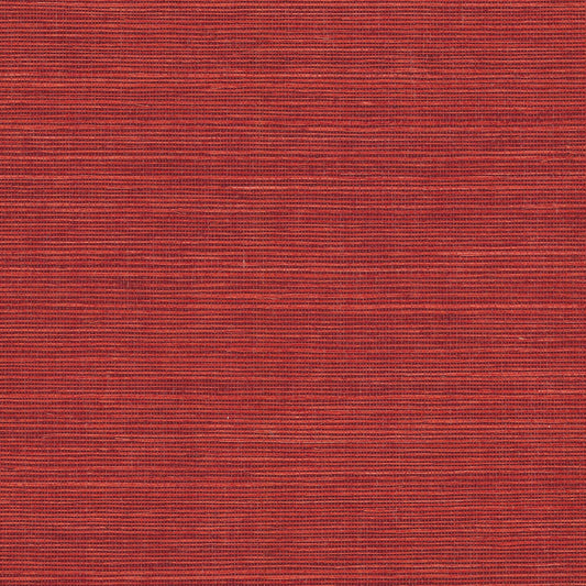 GV0141NW - Grasscloth And Natural Resource Maguey Sisal
