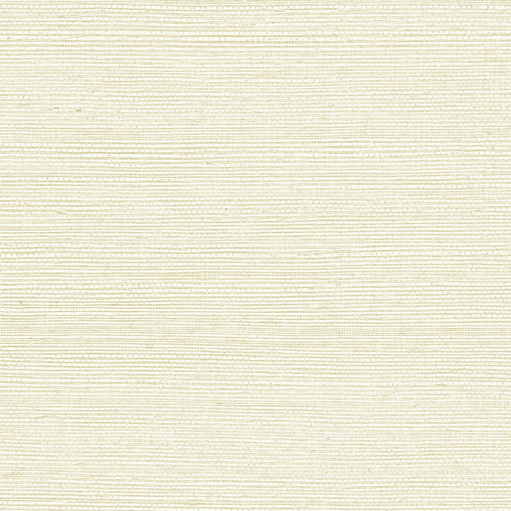 GV0142NW - Grasscloth And Natural Resource Maguey Sisal