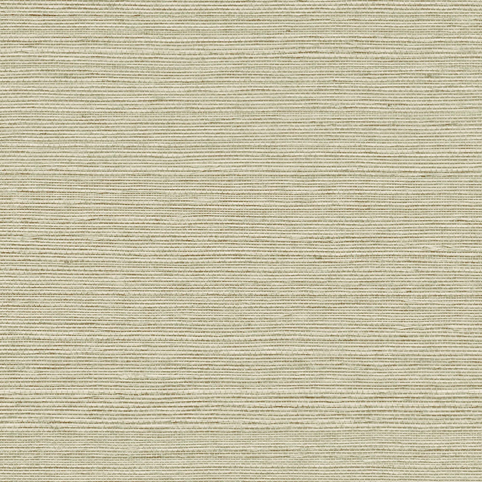 GV0143NW - Grasscloth And Natural Resource Maguey Sisal