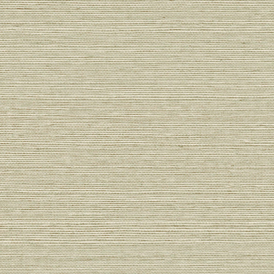 GV0143NW - Grasscloth And Natural Resource Maguey Sisal