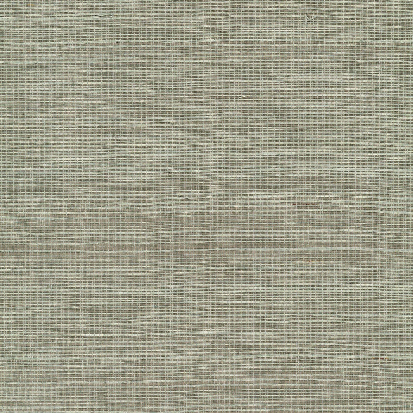 GV0144NW - Grasscloth And Natural Resource Maguey Sisal