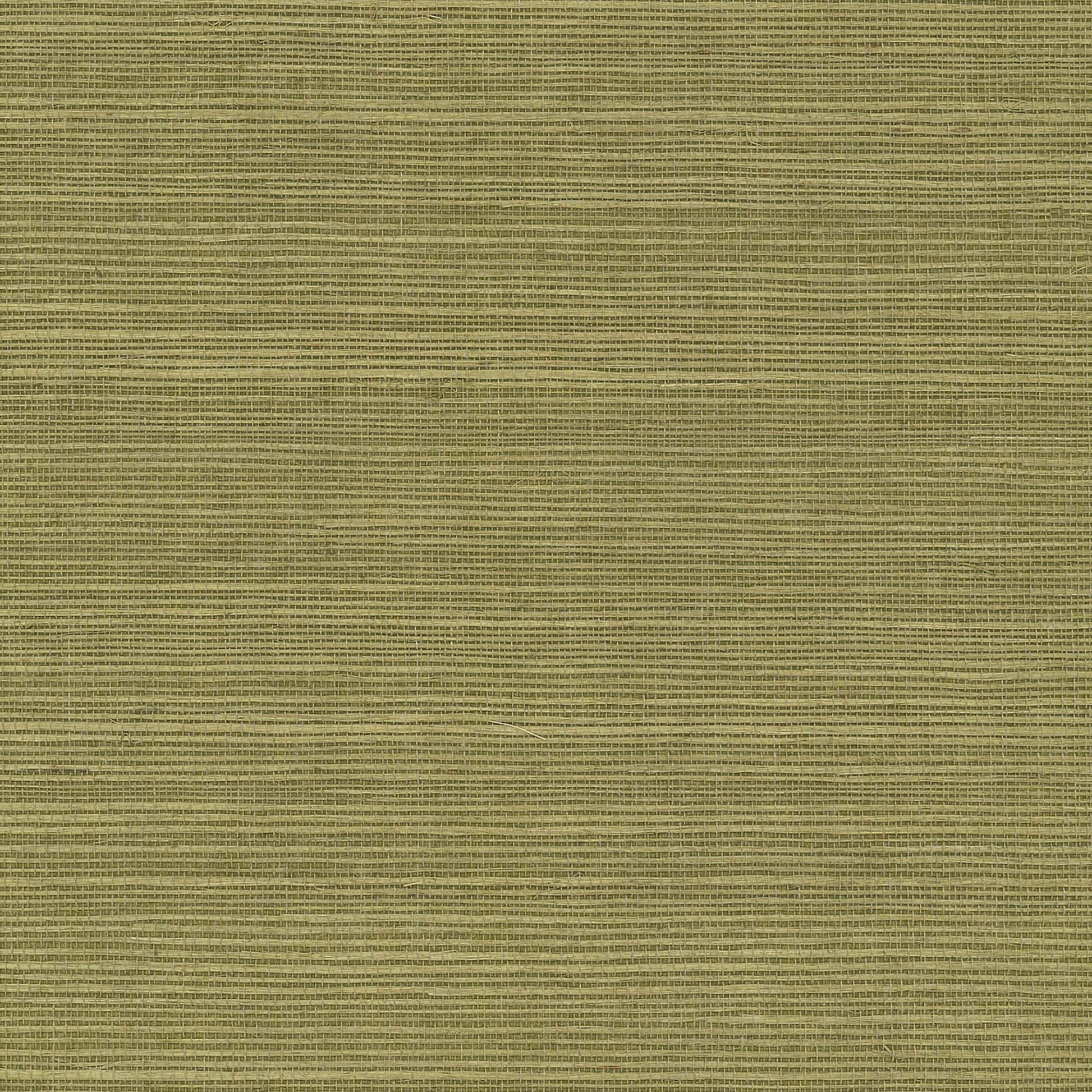 GV0145NW - Grasscloth And Natural Resource Maguey Sisal