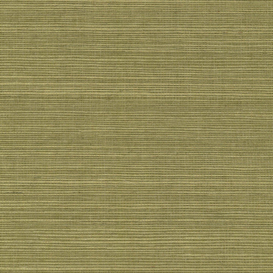 GV0145NW - Grasscloth And Natural Resource Maguey Sisal