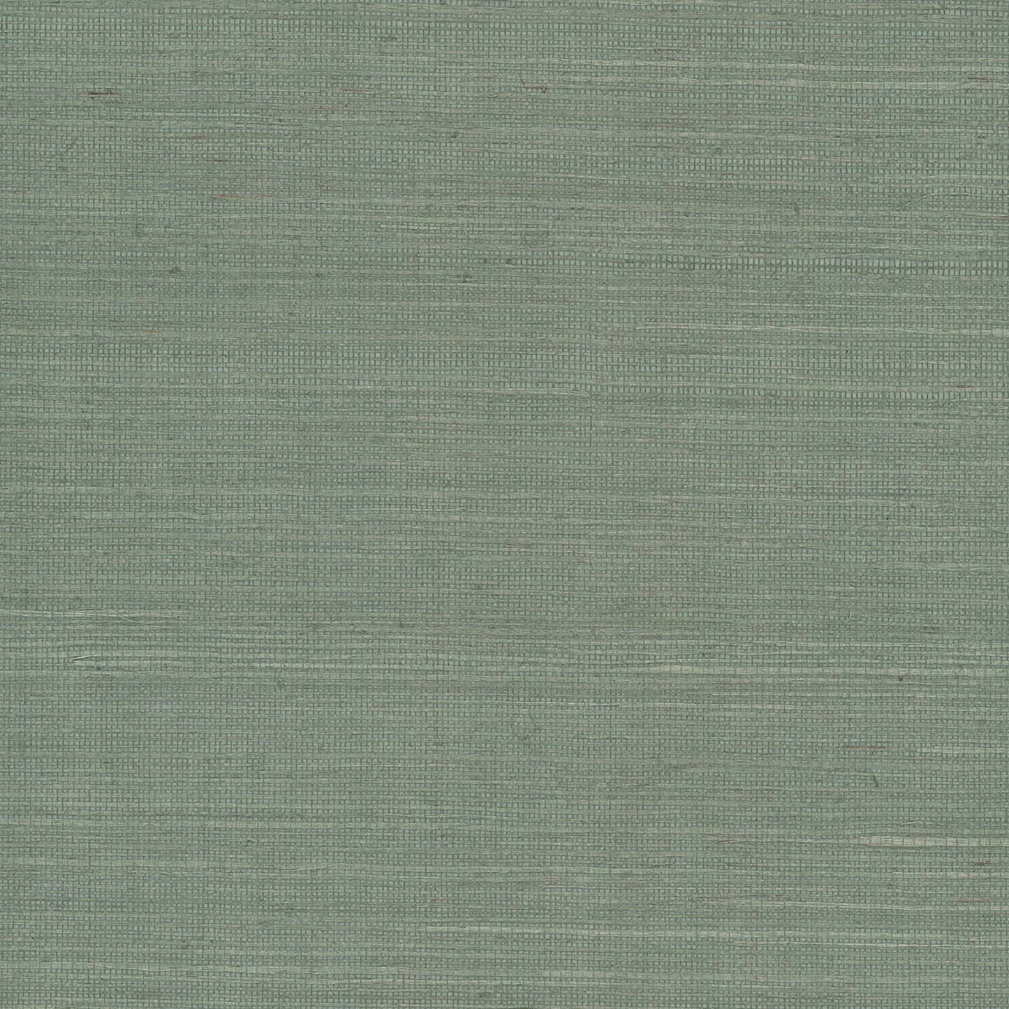 GV0146NW - Grasscloth And Natural Resource Maguey Sisal