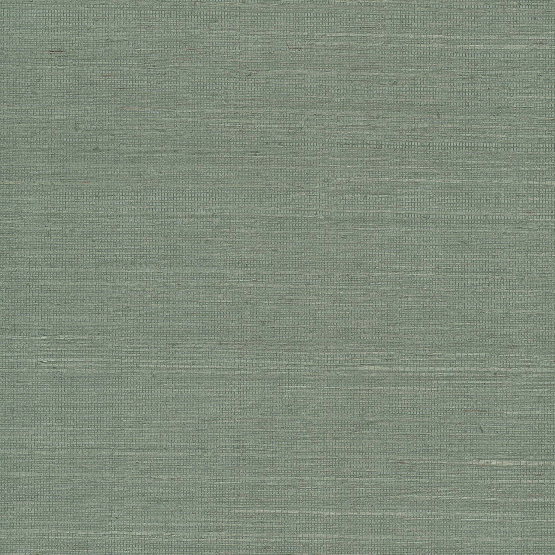 GV0146NW - Grasscloth And Natural Resource Maguey Sisal