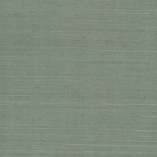 GV0146NW - Grasscloth And Natural Resource Maguey Sisal