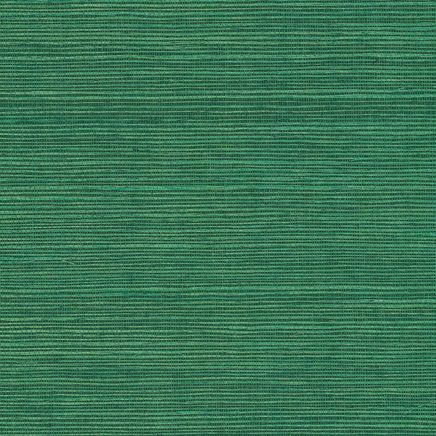 GV0147NW - Grasscloth And Natural Resource Maguey Sisal