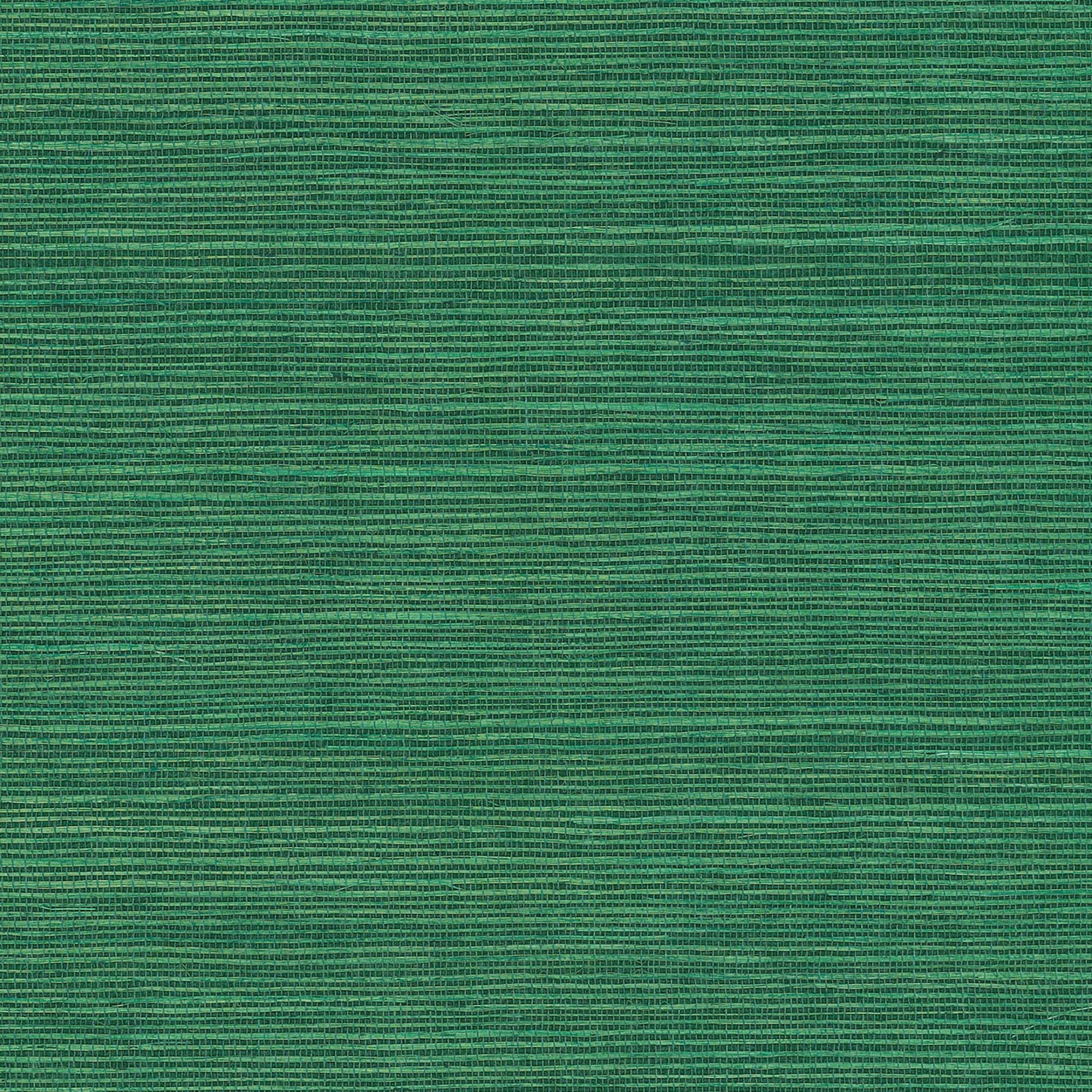GV0147NW - Grasscloth And Natural Resource Maguey Sisal