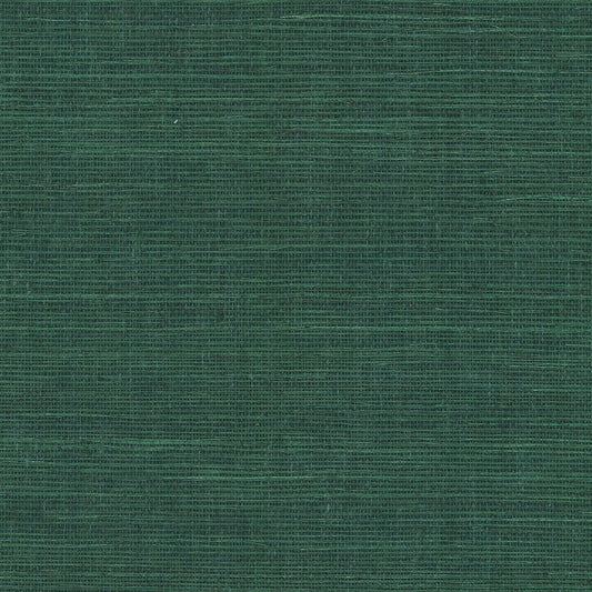 GV0148NW - Grasscloth And Natural Resource Maguey Sisal