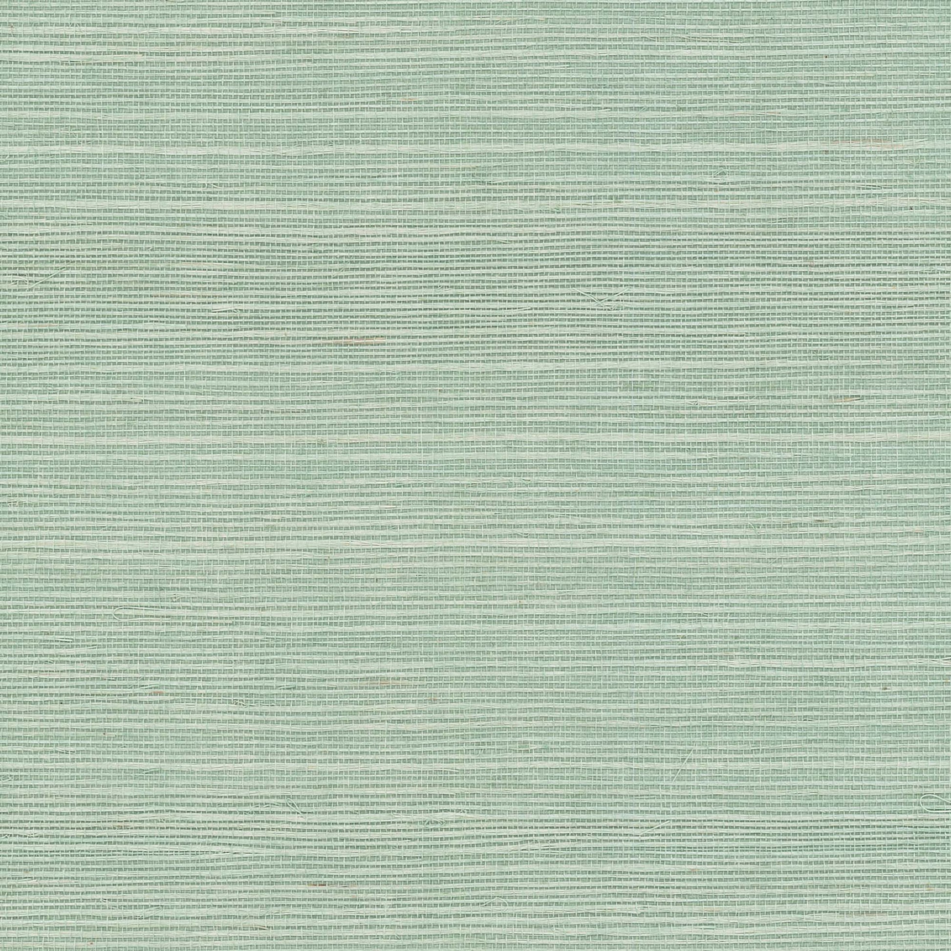 GV0150NW - Grasscloth And Natural Resource Maguey Sisal