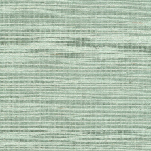 GV0150NW - Grasscloth And Natural Resource Maguey Sisal