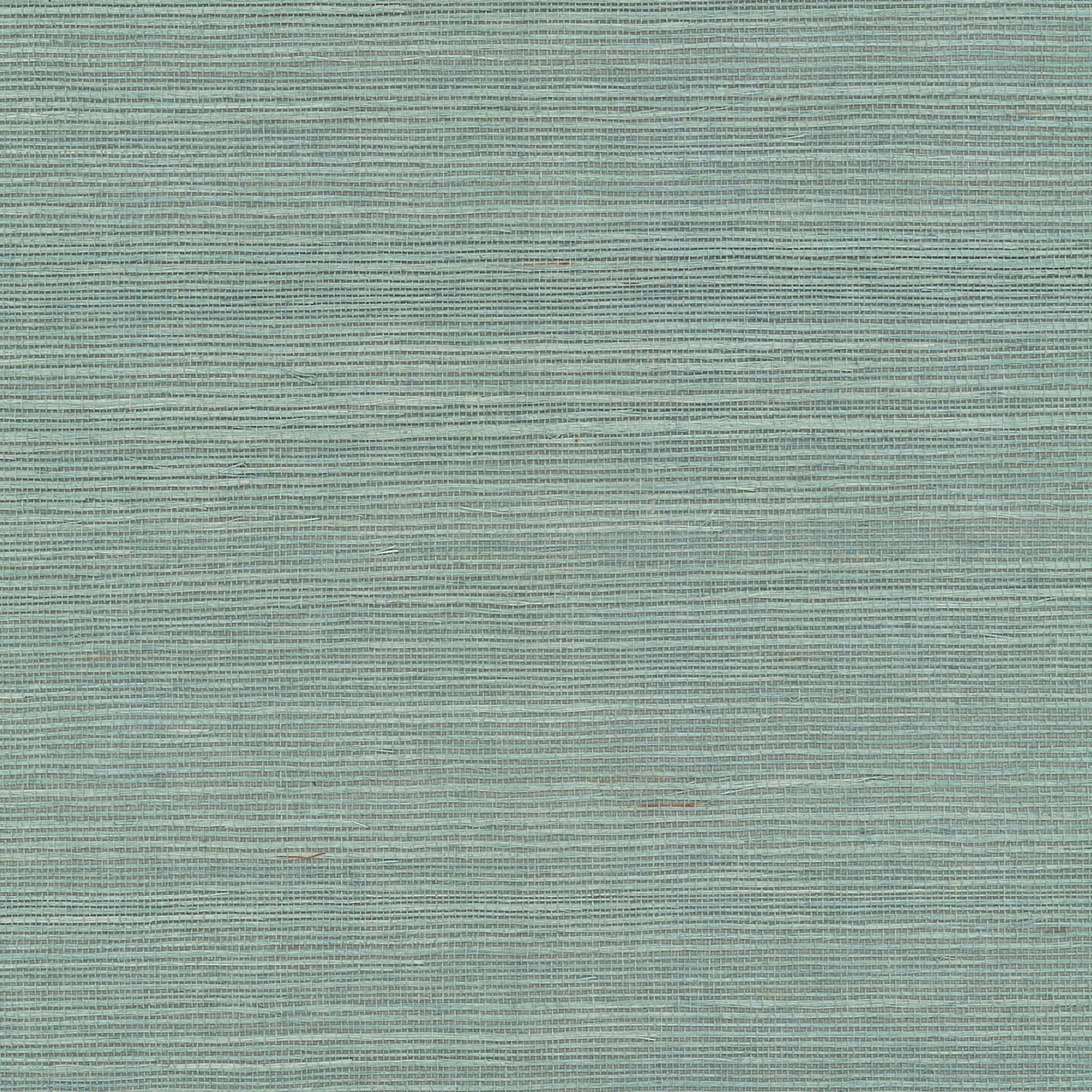 GV0152NW - Grasscloth And Natural Resource Maguey Sisal