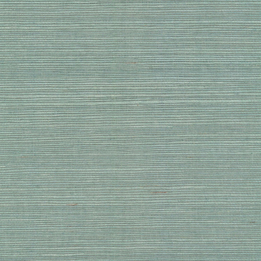 GV0152NW - Grasscloth And Natural Resource Maguey Sisal