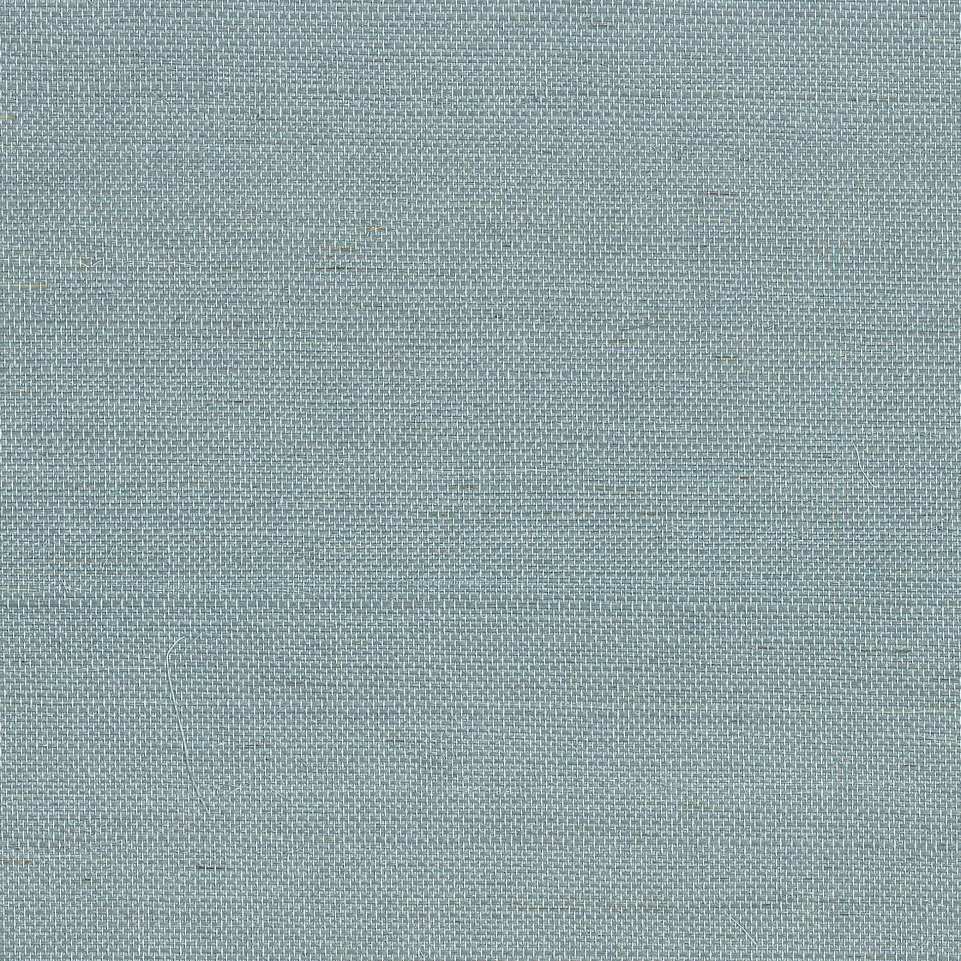 GV0153NW - Grasscloth And Natural Resource Maguey Sisal