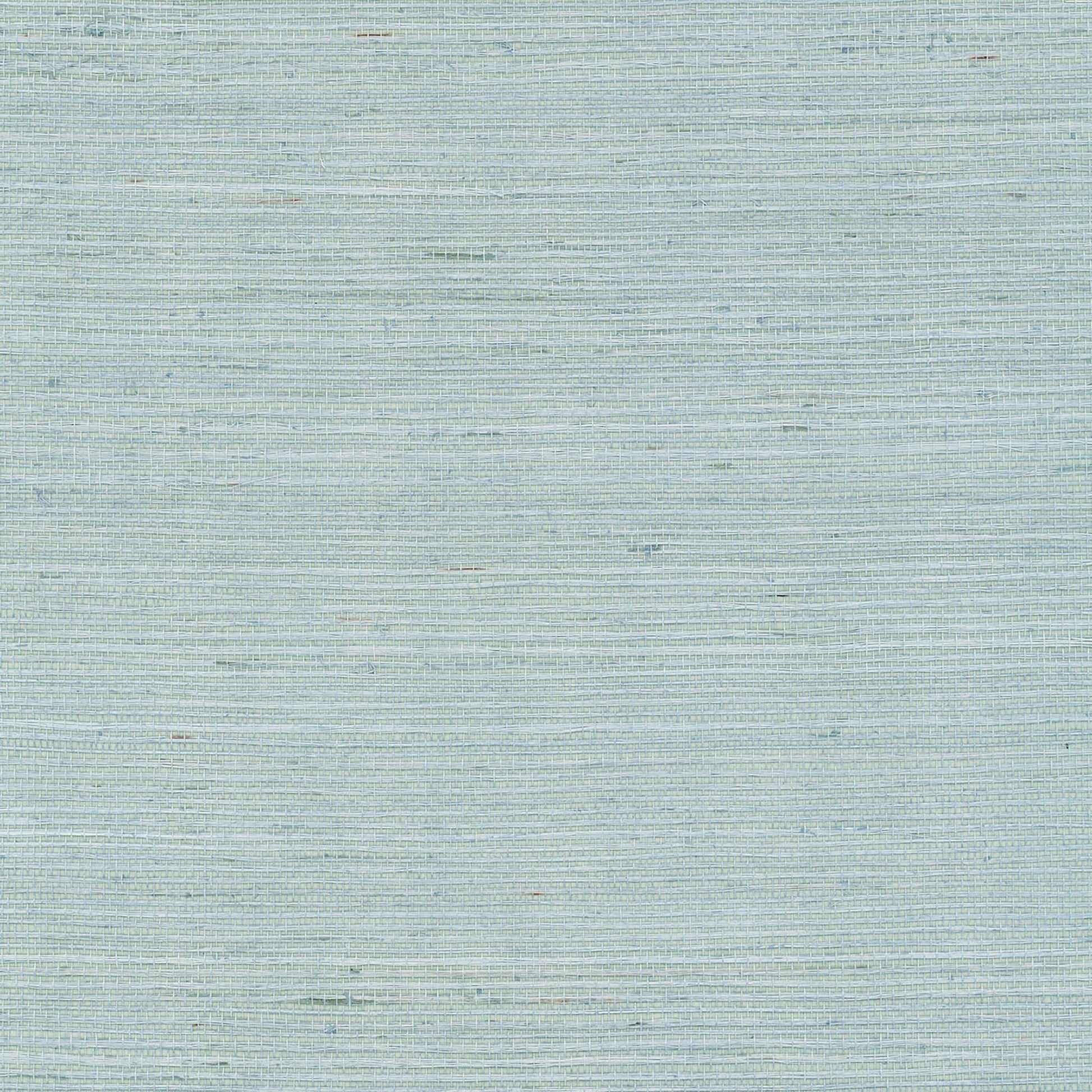 GV0157NW - Grasscloth And Natural Resource Maguey Sisal