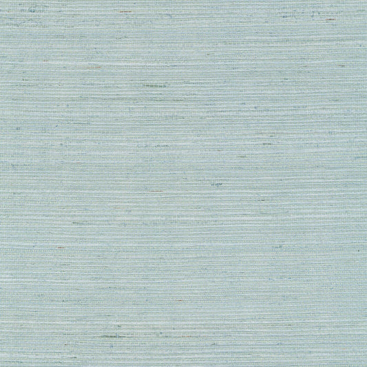 GV0157NW - Grasscloth And Natural Resource Maguey Sisal