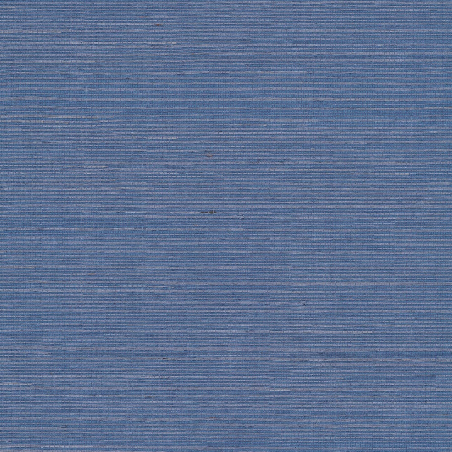 GV0161NW - Grasscloth And Natural Resource Maguey Sisal