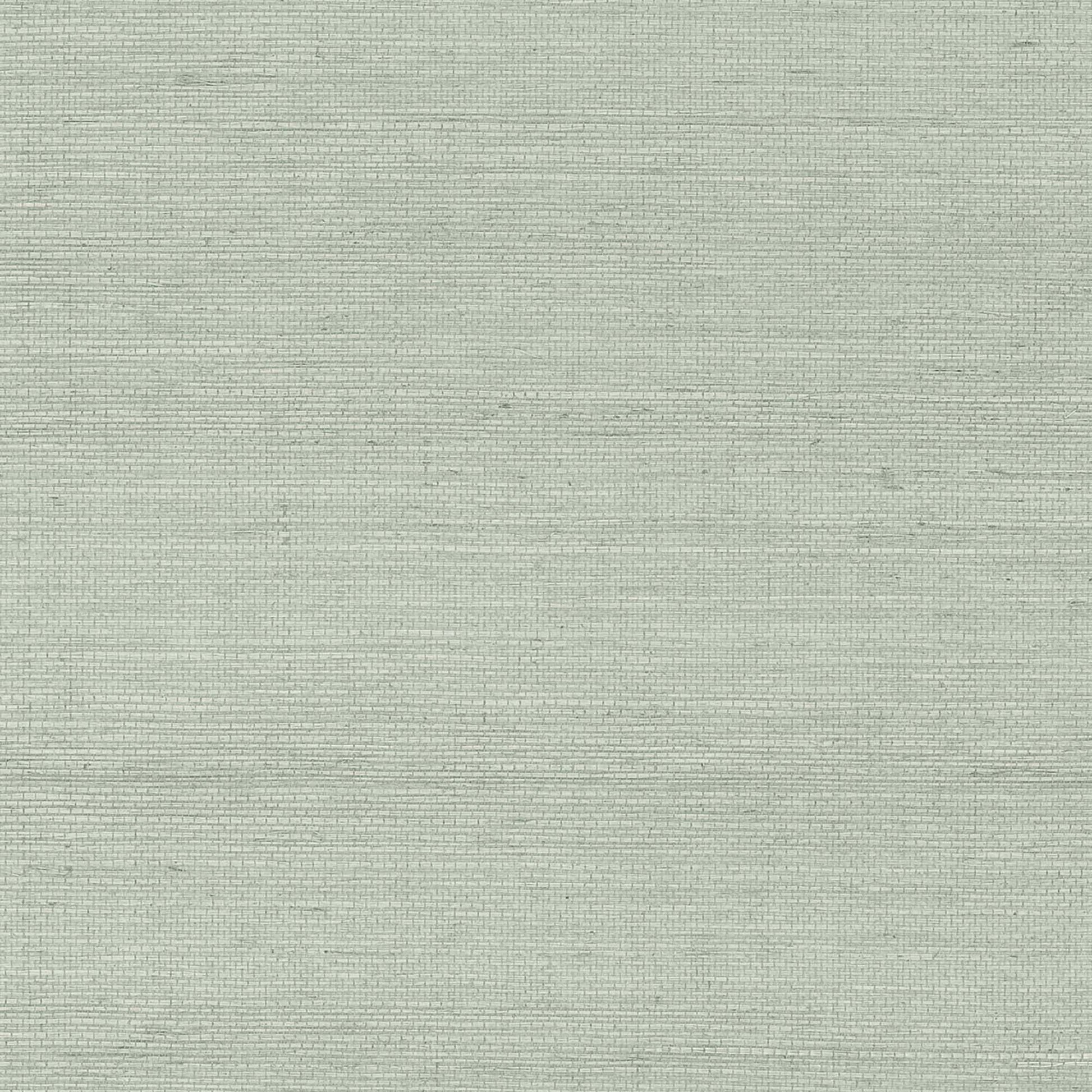 GV0167NW - Grasscloth And Natural Resource Maguey Sisal