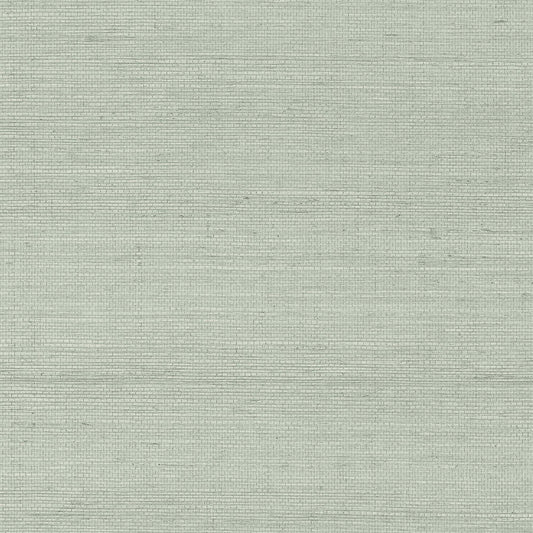 GV0167NW - Grasscloth And Natural Resource Maguey Sisal