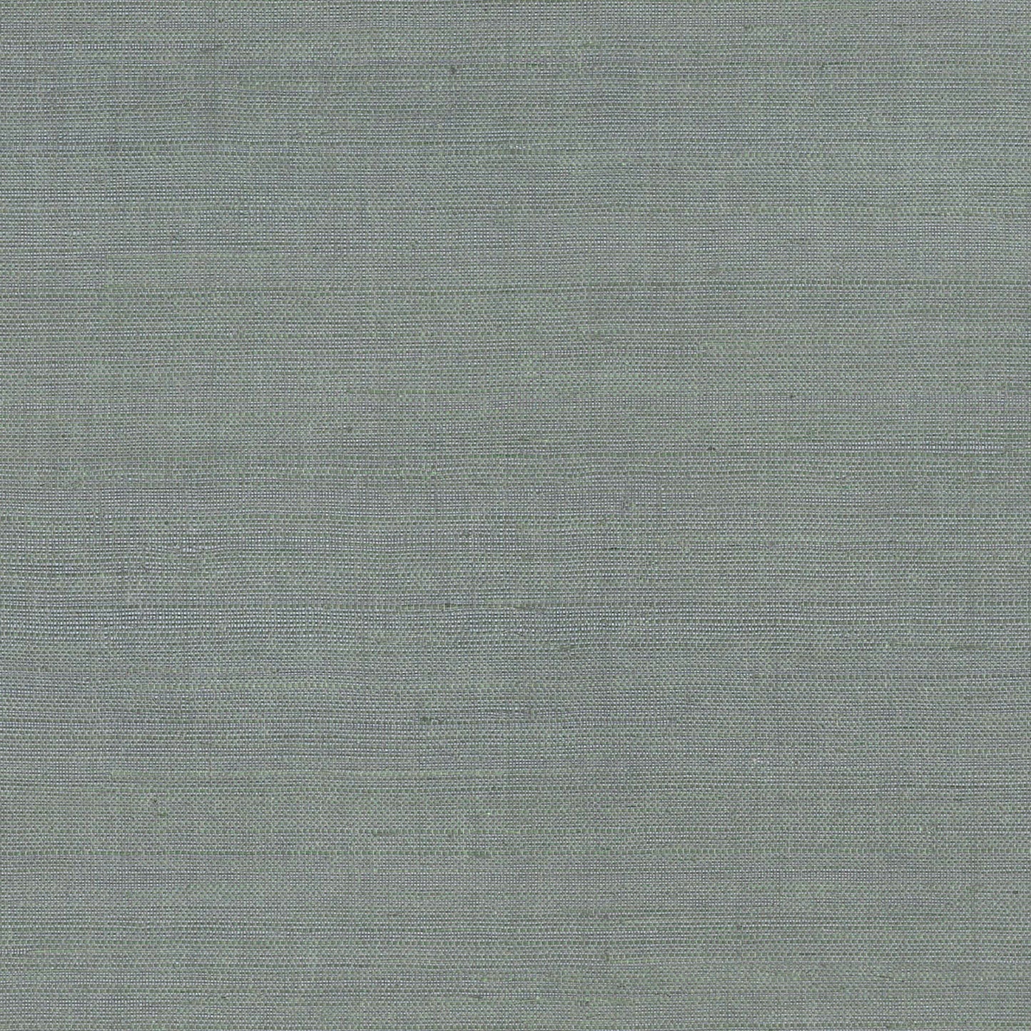 GV0169NW - Grasscloth And Natural Resource Maguey Sisal