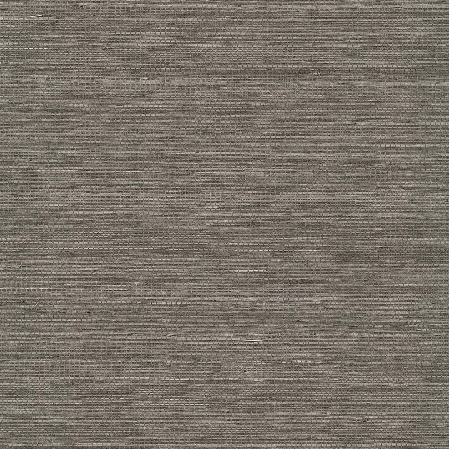 GV0171NW - Grasscloth And Natural Resource Maguey Sisal