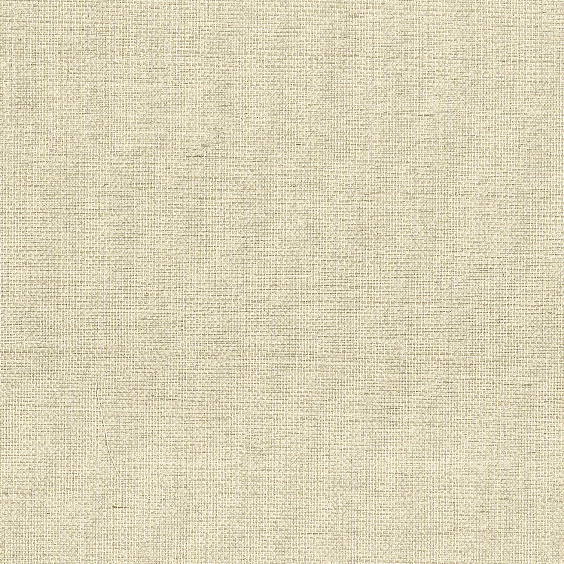 GV0173NW - Grasscloth And Natural Resource Maguey Sisal