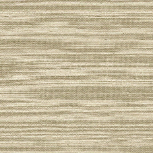 GV0174NW - Grasscloth And Natural Resource Maguey Sisal