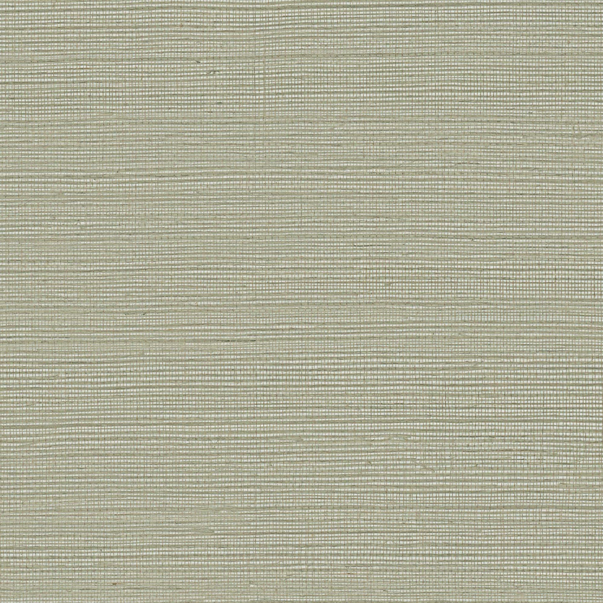 GV0175NW - Grasscloth And Natural Resource Maguey Sisal