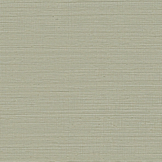 GV0175NW - Grasscloth And Natural Resource Maguey Sisal