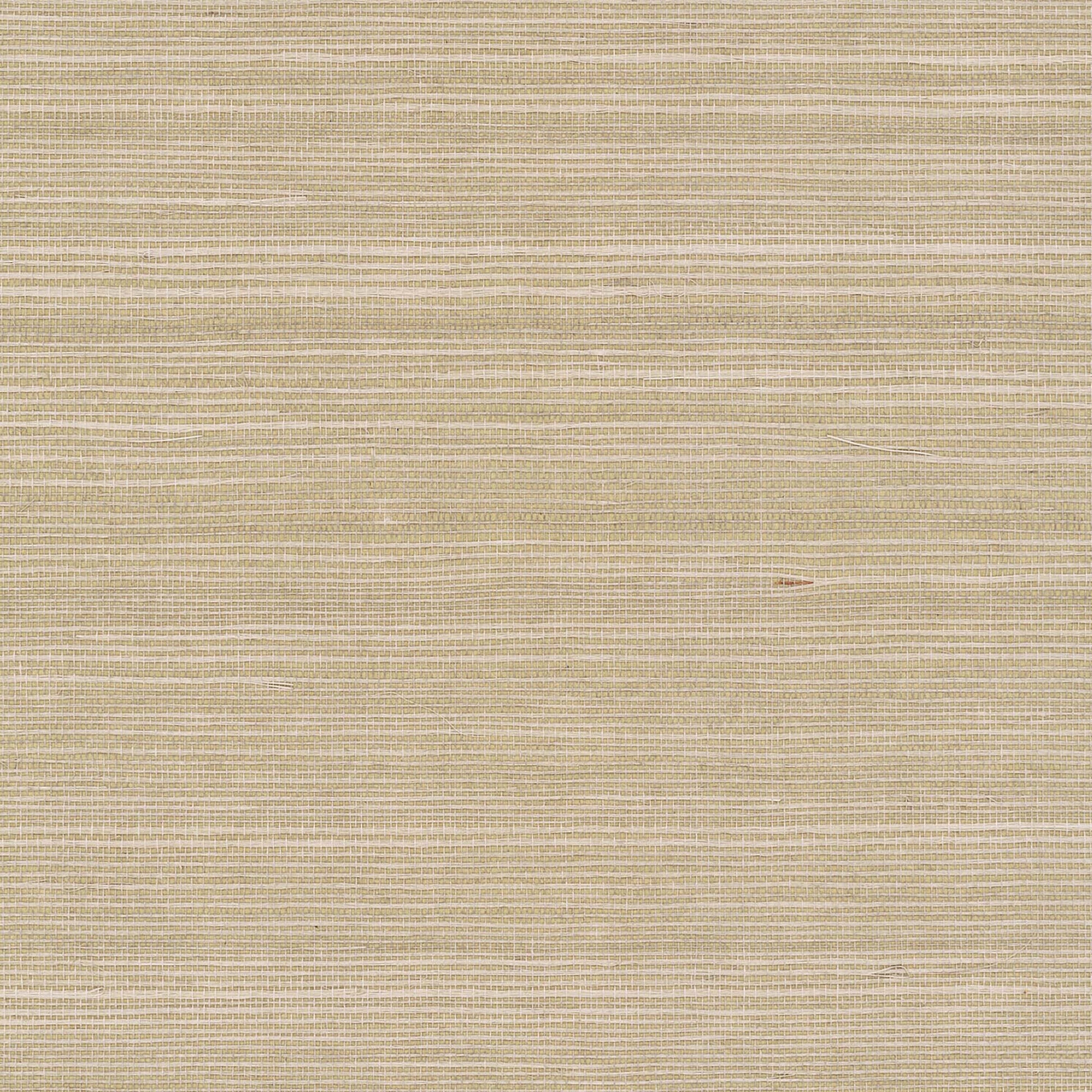 GV0176NW - Grasscloth And Natural Resource Maguey Sisal