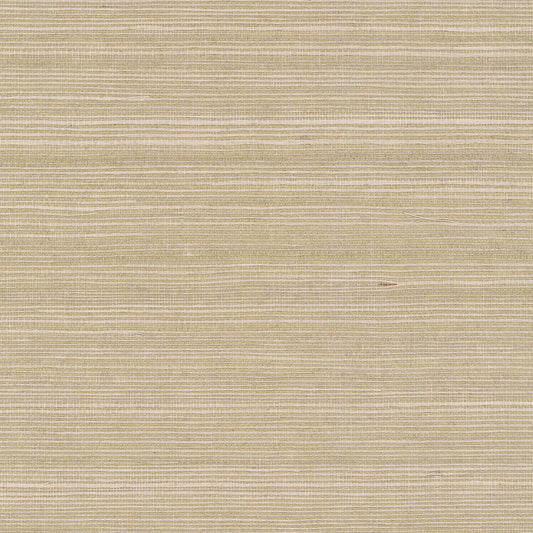 GV0176NW - Grasscloth And Natural Resource Maguey Sisal