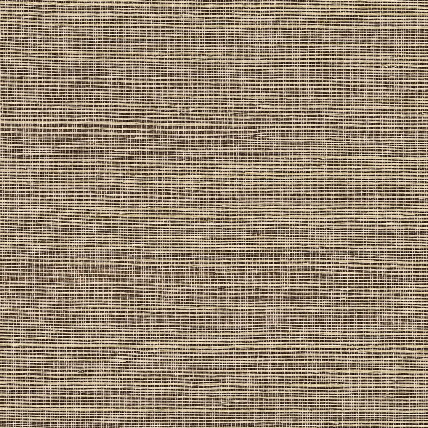 GV0177NW - Grasscloth And Natural Resource Maguey Sisal