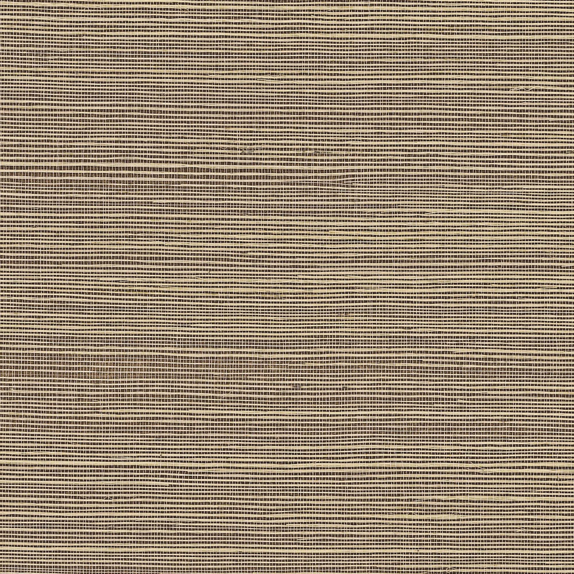 GV0177NW - Grasscloth And Natural Resource Maguey Sisal