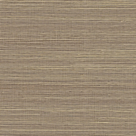 GV0177NW - Grasscloth And Natural Resource Maguey Sisal
