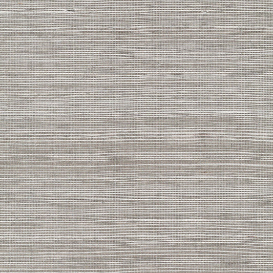 GV0179NW - Grasscloth And Natural Resource Maguey Sisal