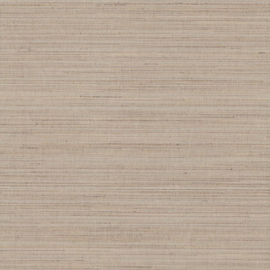 GV0202 - Grasscloth And Natural Resource Marled Abaca