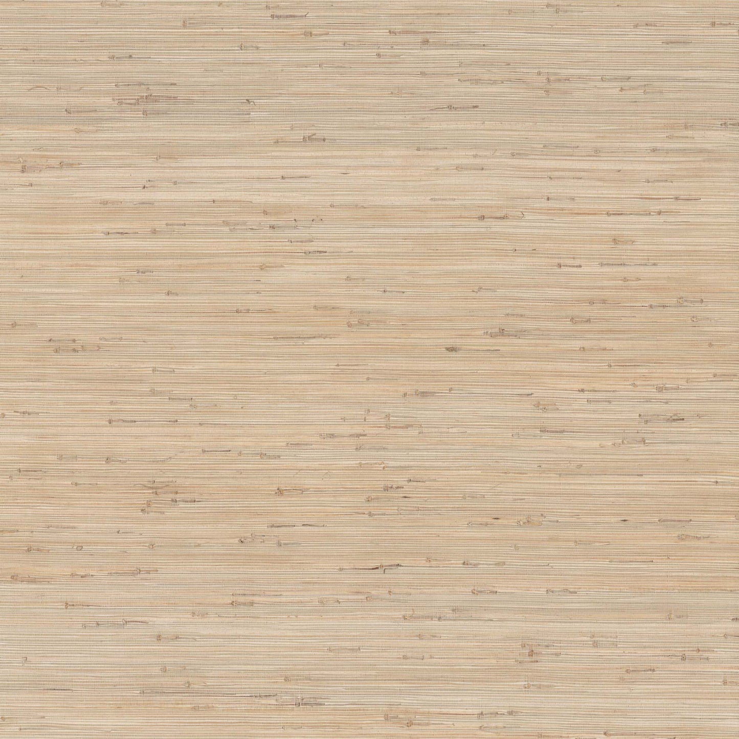 GV0231 - Grasscloth And Natural Resource Knotted Grass