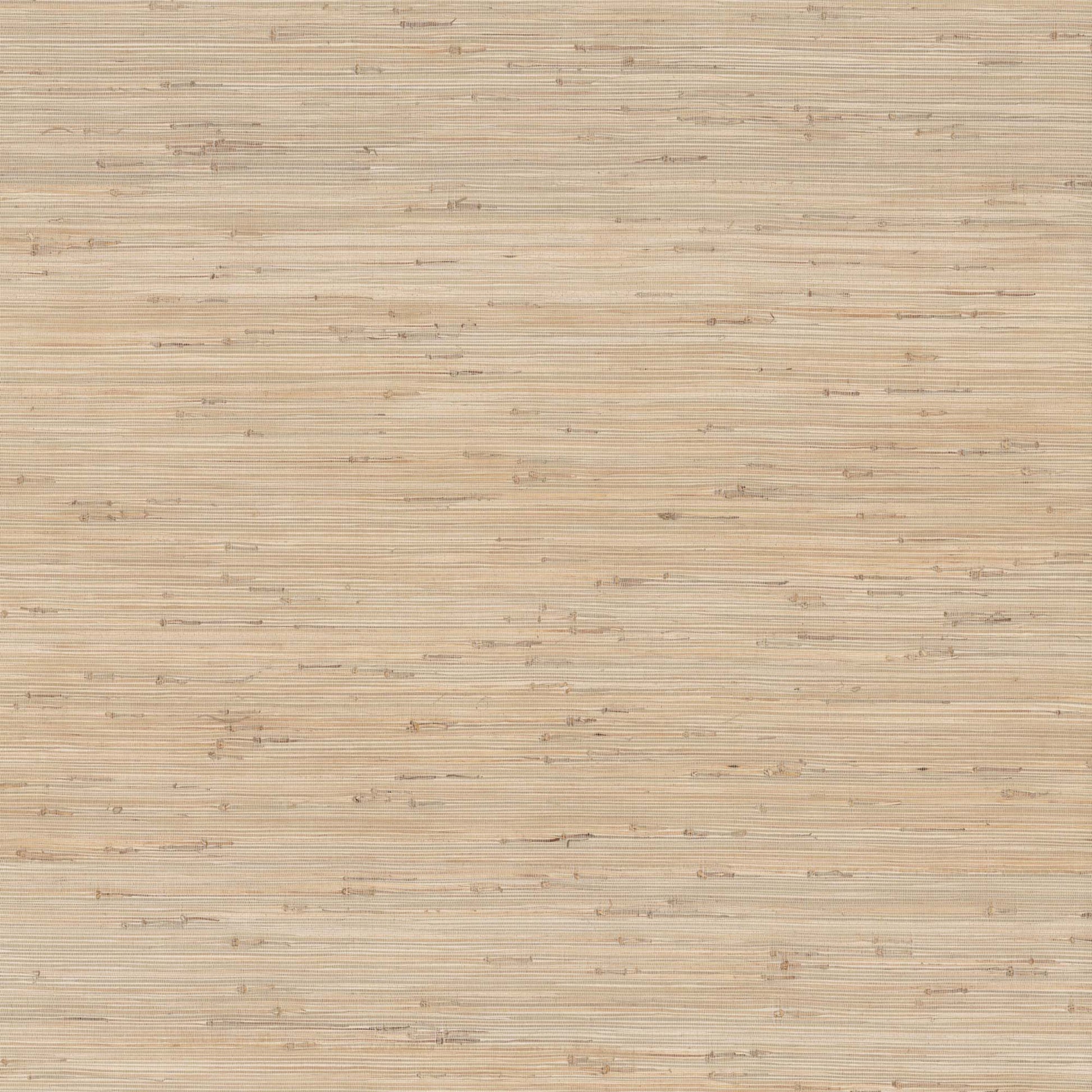 GV0231 - Grasscloth And Natural Resource Knotted Grass