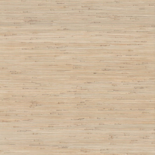 GV0231 - Grasscloth And Natural Resource Knotted Grass