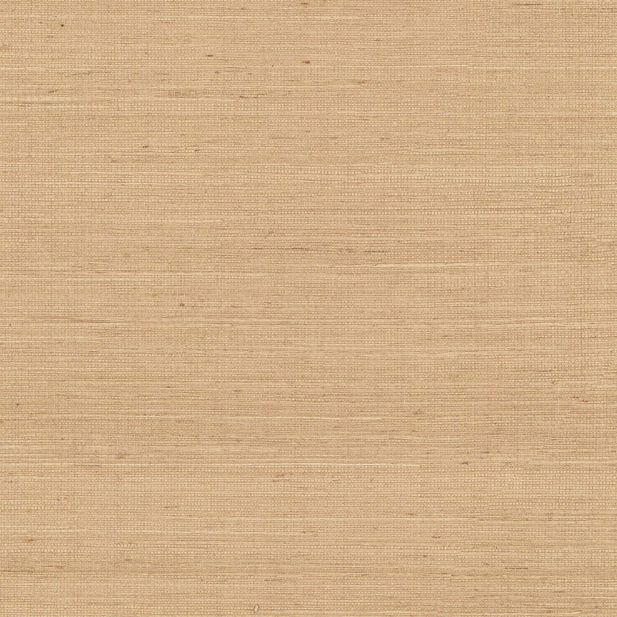 VG4402NW - Grasscloth And Natural Resource Maguey Sisal – Calico