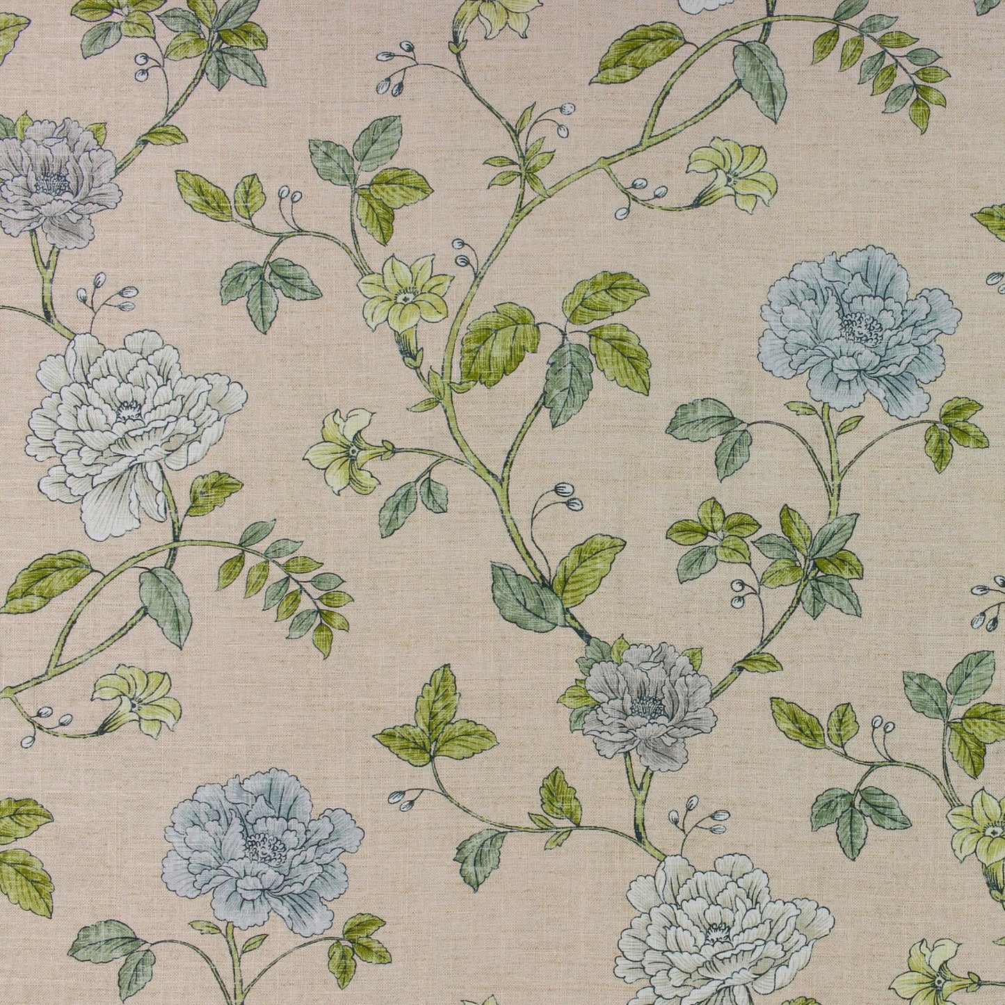 Hennie (Ri) - Tearose