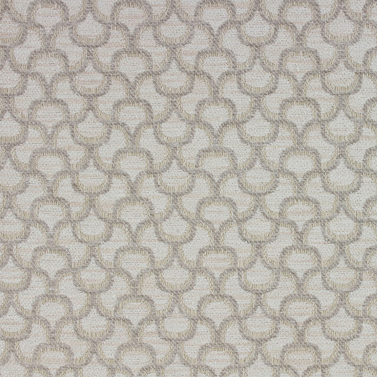 Neci (Ri) - Canvas