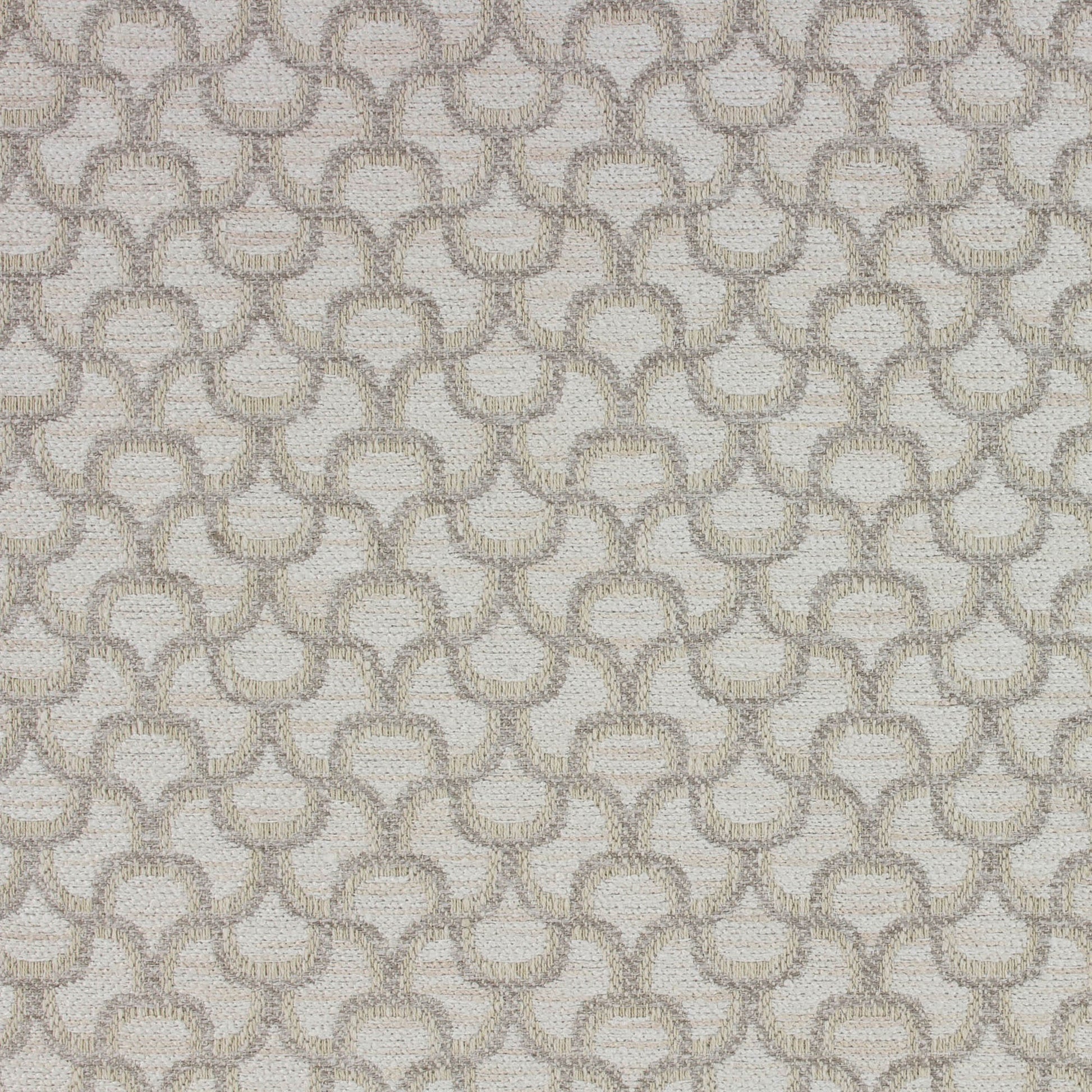Neci (Ri) - Canvas