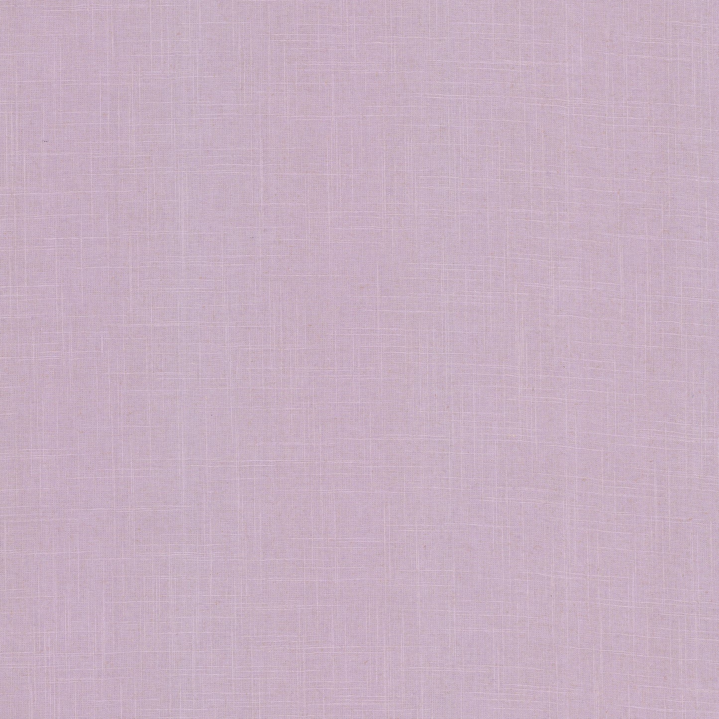 Ines - Lillian August - Orchid