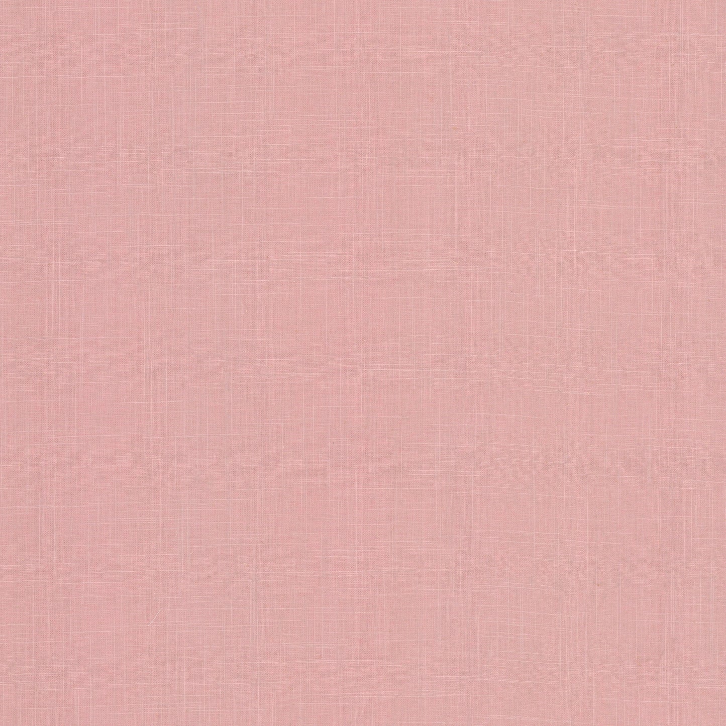 Ines - Lillian August - Rosewater