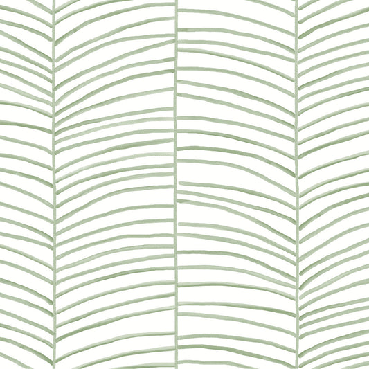 MT5674 - Montecito Wallpaper Cascade Palm Chevron