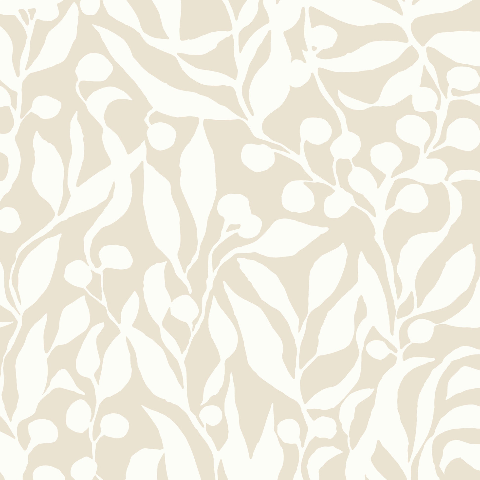 MT5613 - Montecito Wallpaper Olive Mill