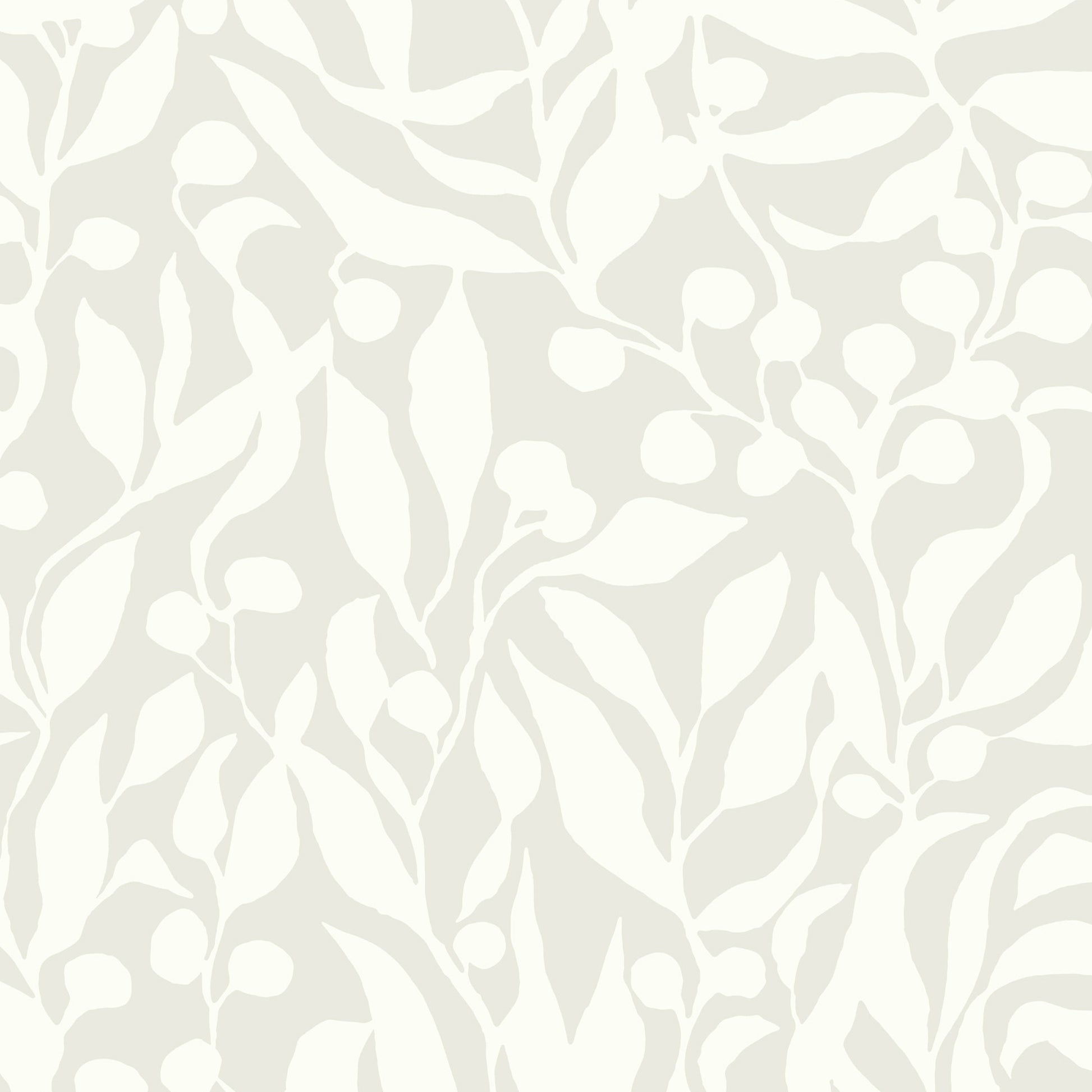 MT5615 - Montecito Wallpaper Olive Mill