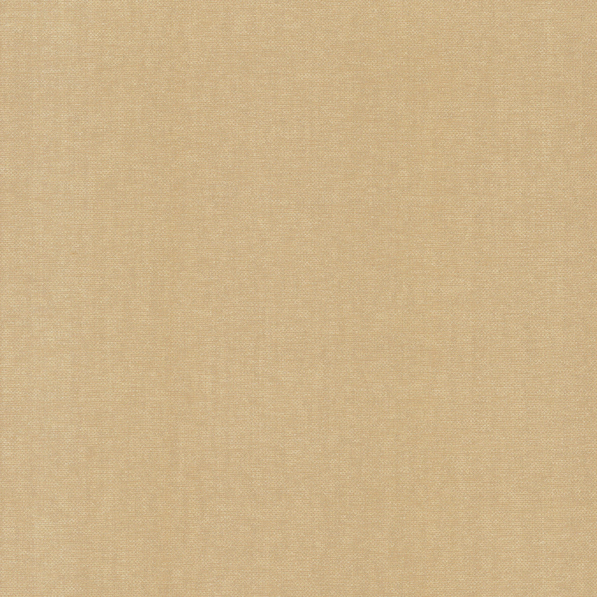 WOVEN GLIMMER - Candice Olson Decadance 2 - Df3397